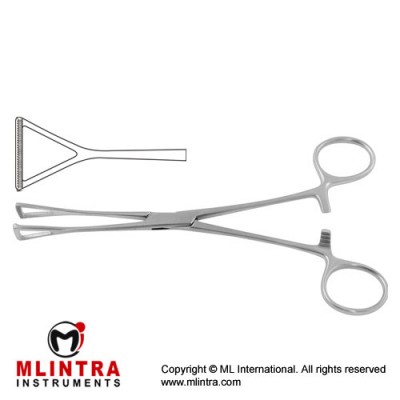 Duval Intestinal and Tissue Grasping Forceps Wide Jaw Stainless Steel, 20.5 cm - 8" Duval Intestinal and Tissue Grasping Forceps Wide Jaw Stainless Steel, 20.5 cm - 8"